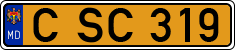 C SC 319