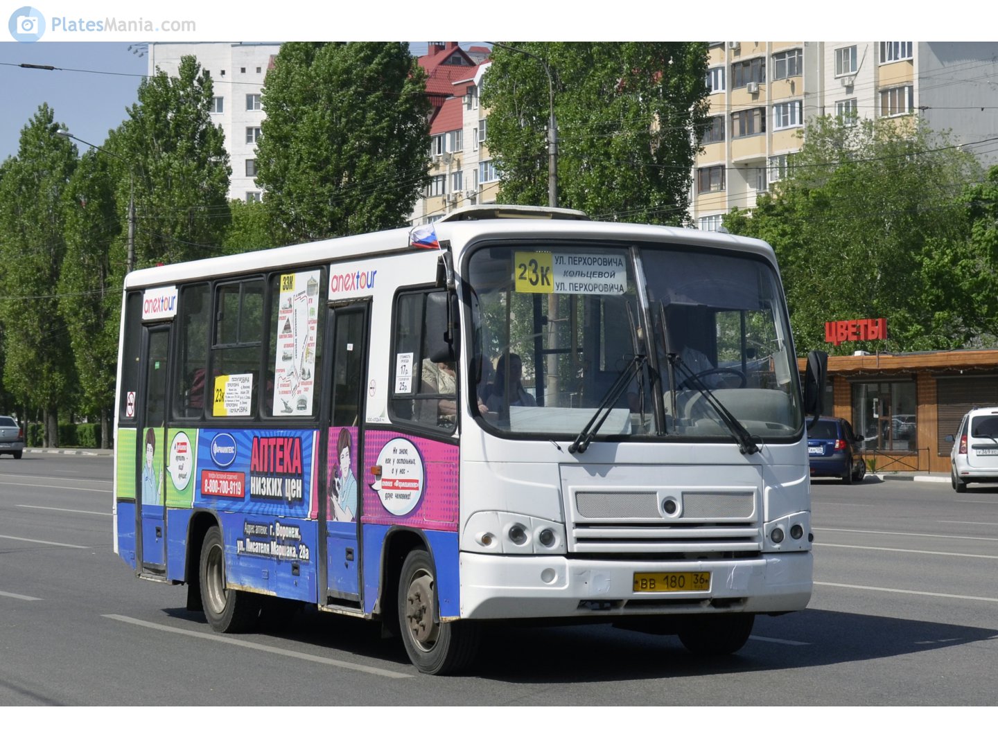 вв 180 36, PAZ 3203/3204 3204, 2006­–2018