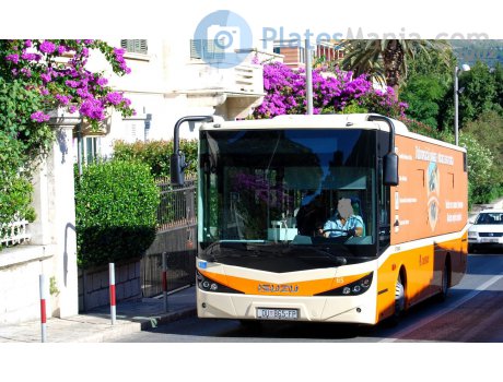 DU 865-FP, Isuzu Citibus