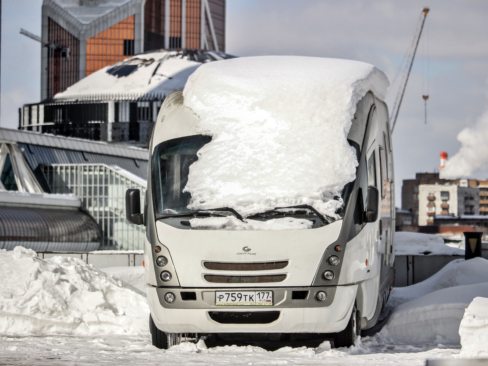 р 759 тк 177, GiottiLine Genetics 