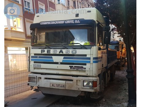 AL 1254 N, Pegaso Troner