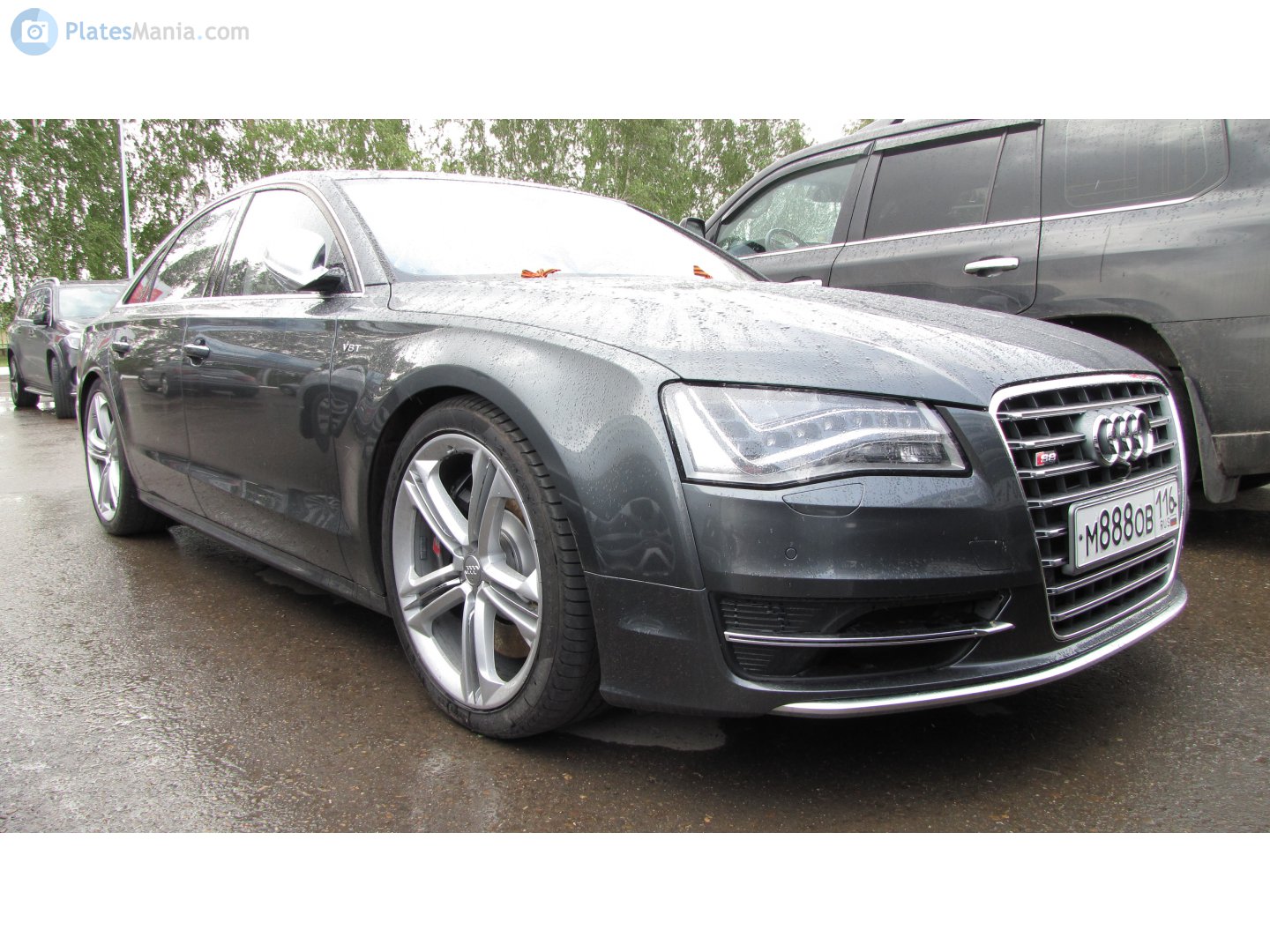 м 888 ов 116, Audi S8 3rd gen (D4/4H), facelift, 2013–2017