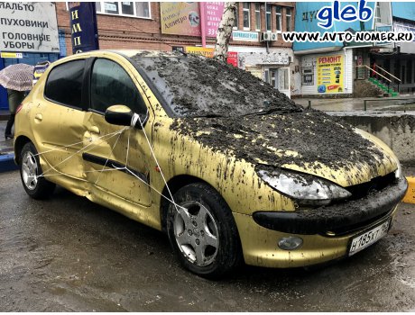 н185хт163, Peugeot 206