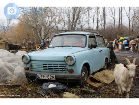 LTH-829, Trabant 1.1