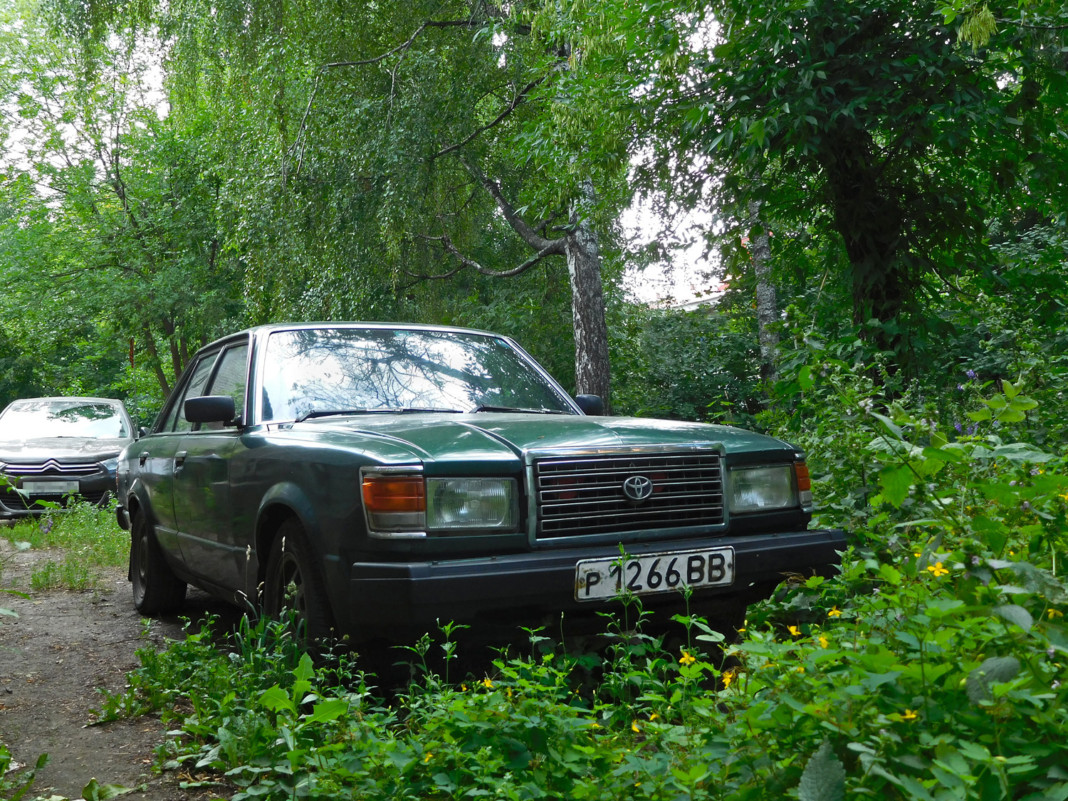 р 1266 ВВ, Toyota Celica Camry 1st gen (A50; JP-market), 1980–1981