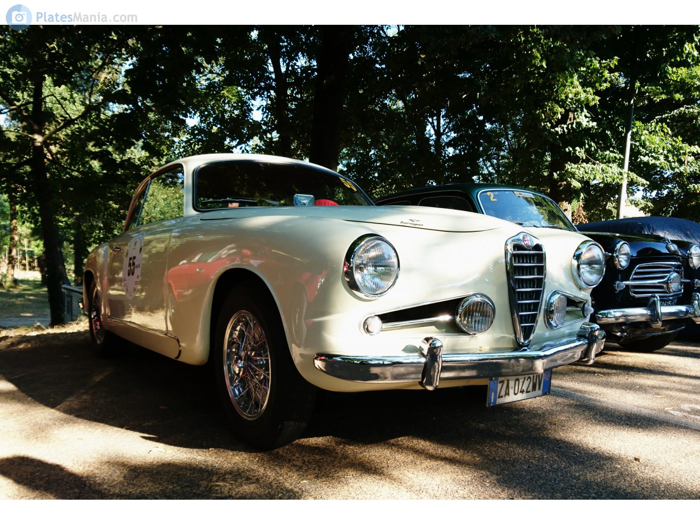 ZA 042 WV, Alfa Romeo 1900 1st gen, 1950–1959