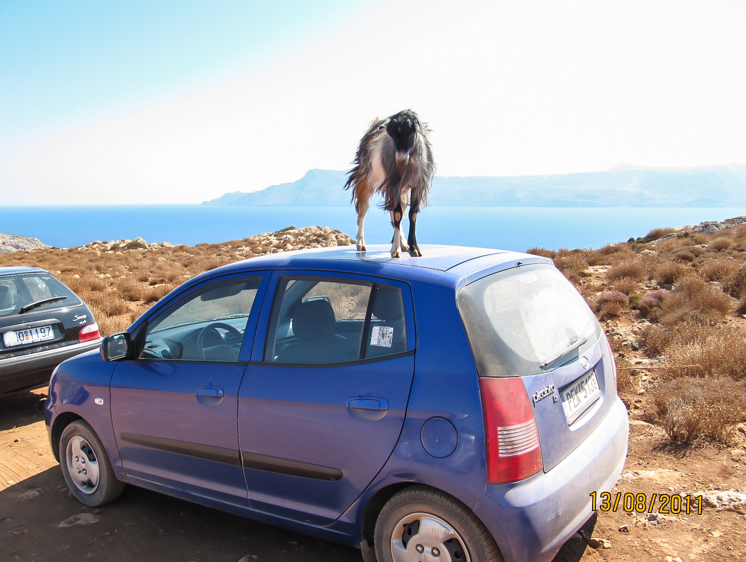 PEK-5138, Kia Picanto 