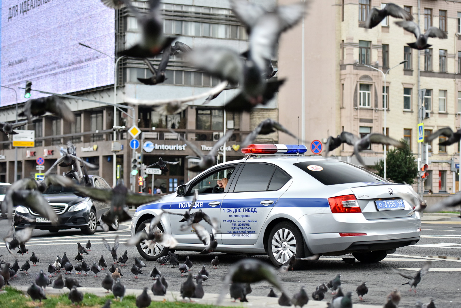 о 3155 99, Skoda Octavia 3rd gen Liftback (A7/5E3), 2013–2017