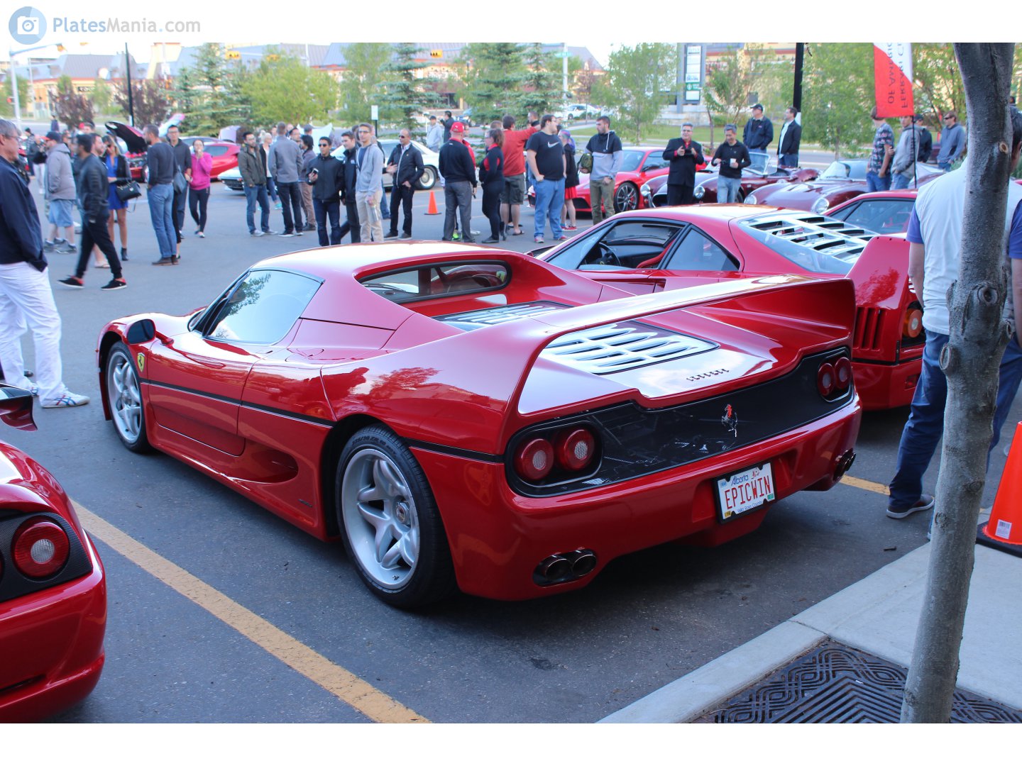 EPICWIN, Ferrari F50 1st gen (F130), 1995–1997