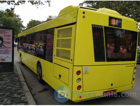 T4 TT 7447, MAZ 203