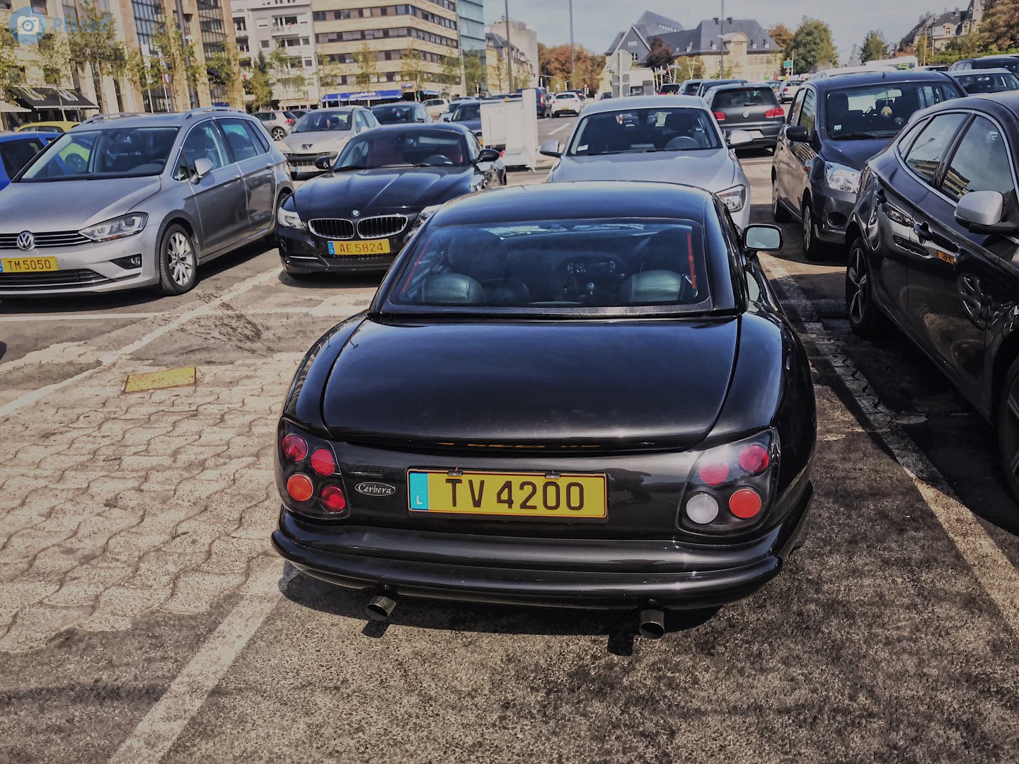 TV 4200, TVR Cerbera 