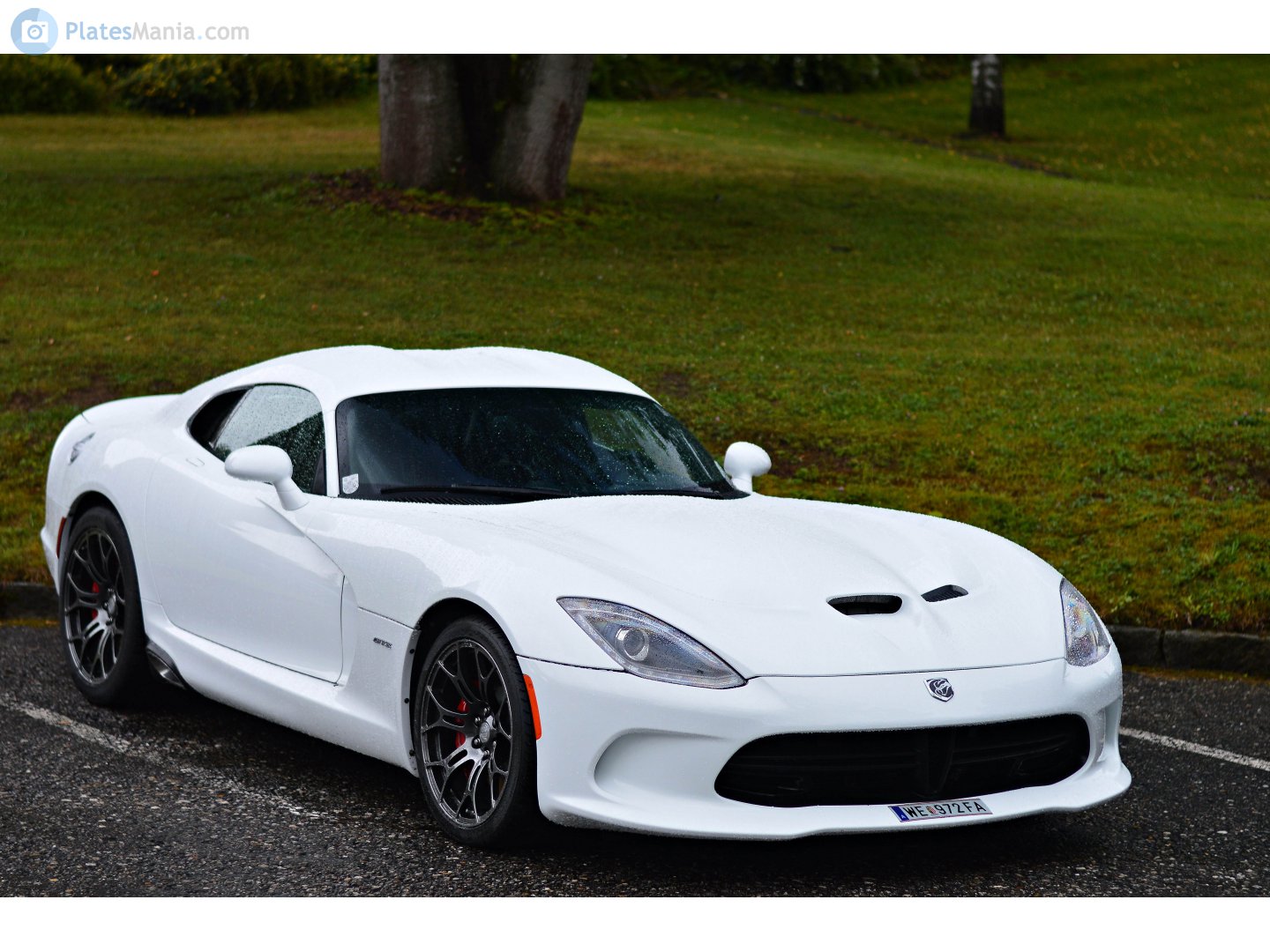 WE 972 FA, Dodge Viper 5th gen (VX), 2013–2017
