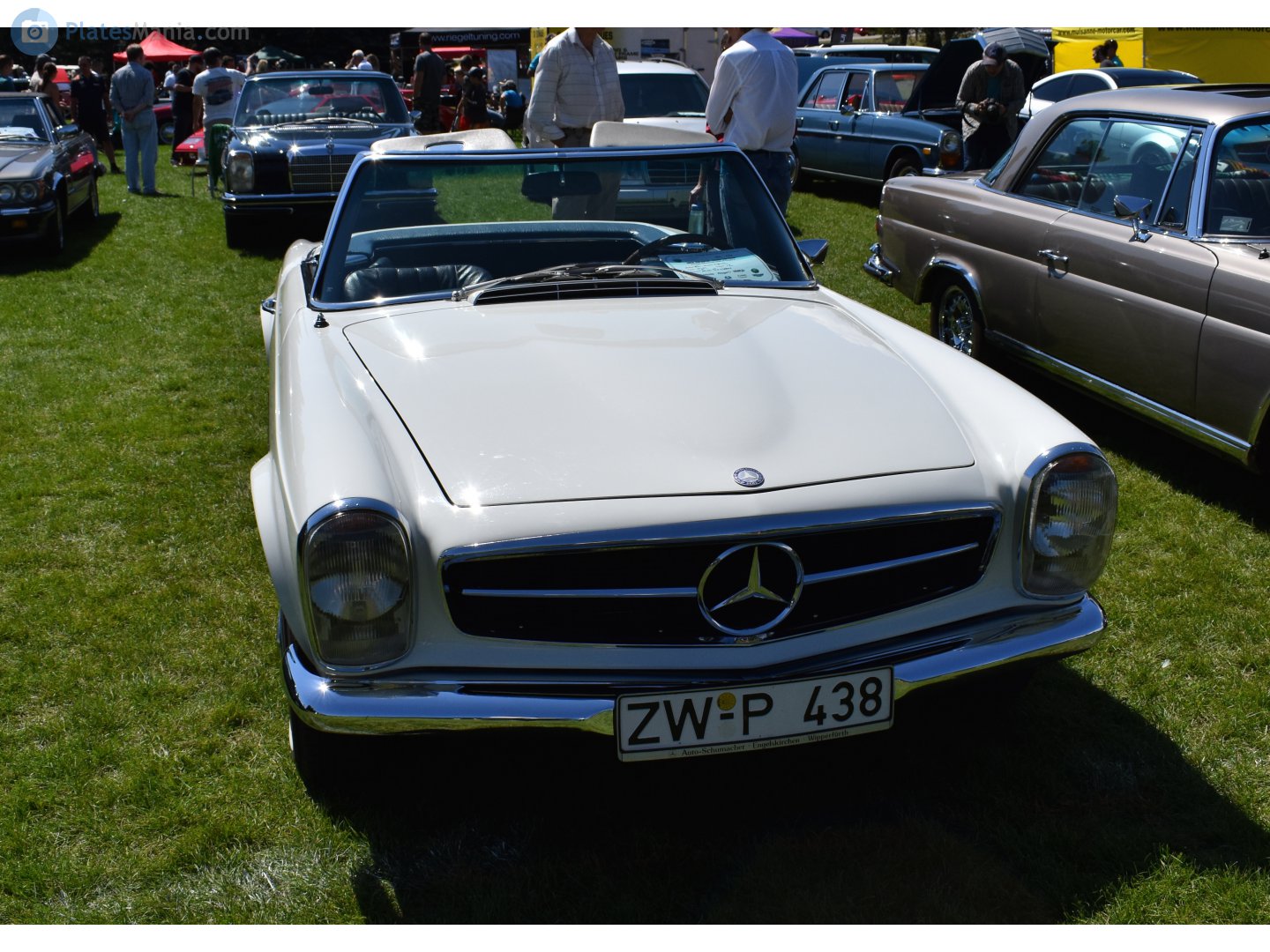 ZW P 438, License plate without vehicle 