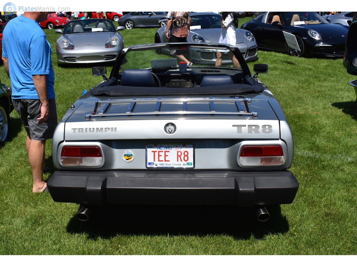 TEE R8, Triumph TR8 