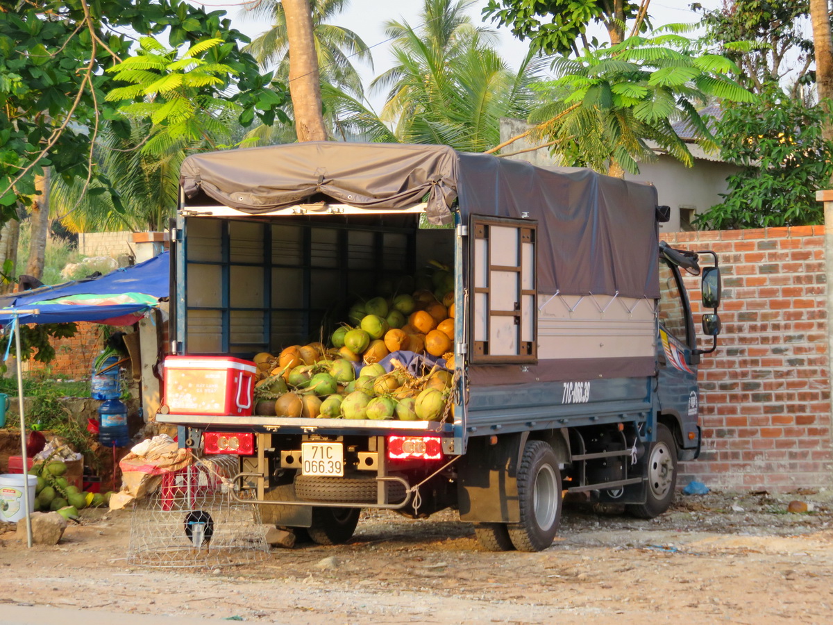 71C-066.39, Thaco Ollin 