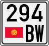 294 BW