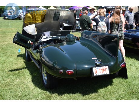 D TYPE, Jaguar D-Type