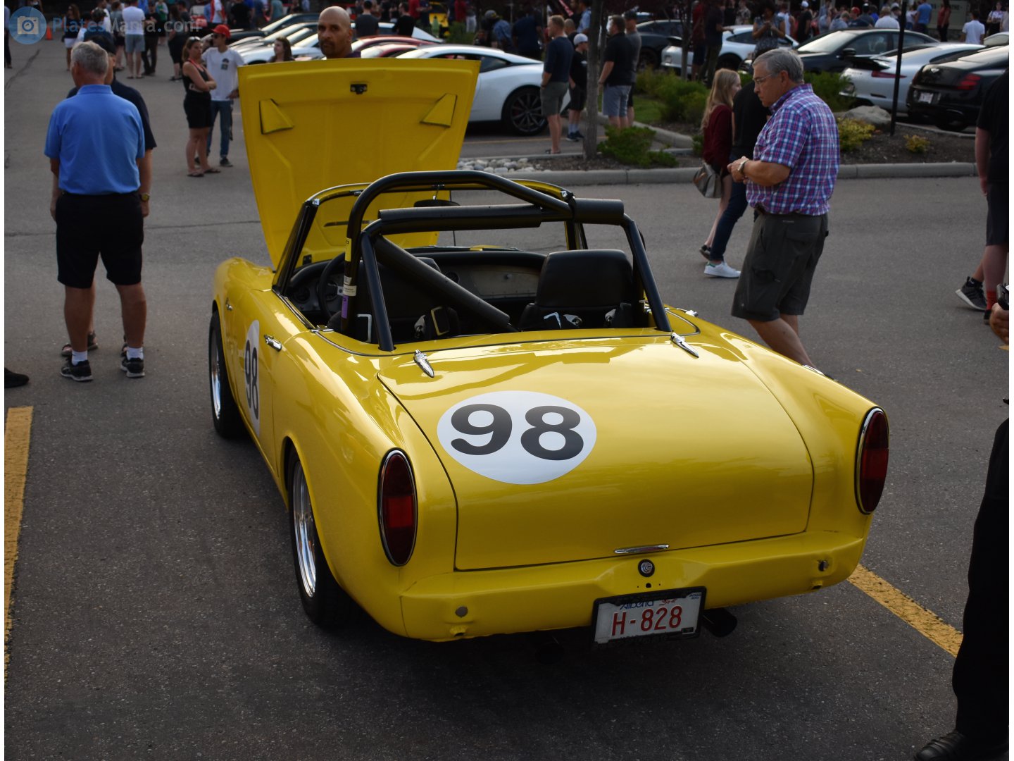 H-828, Sunbeam Tiger 