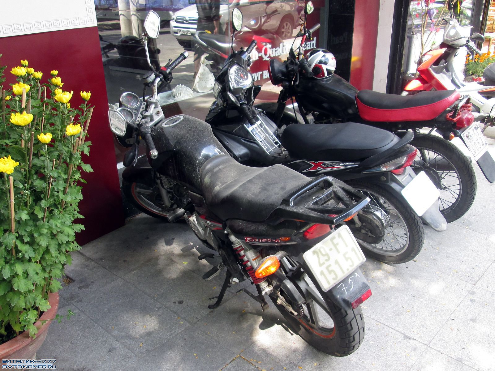 29-F1 151.51, Suzuki EN Series 