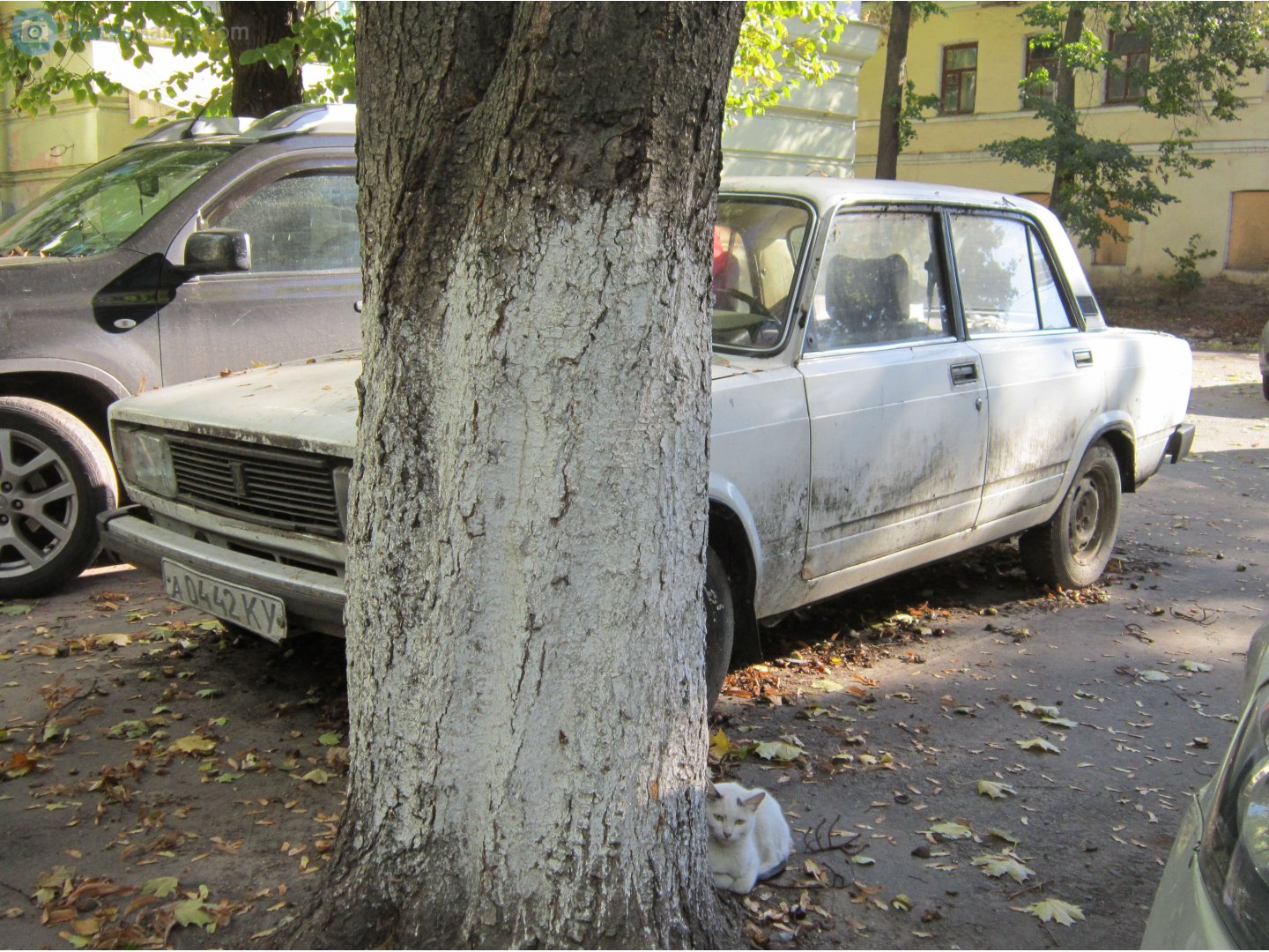 а 0442 КУ, Lada (VAZ) 2105 Жигули (Nova / Riva / 1300 / 1500), 1980–2010