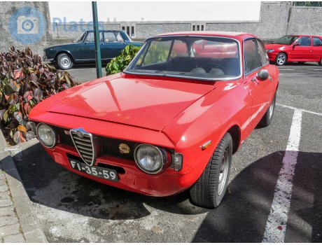 FI-35-59, Alfa Romeo Junior