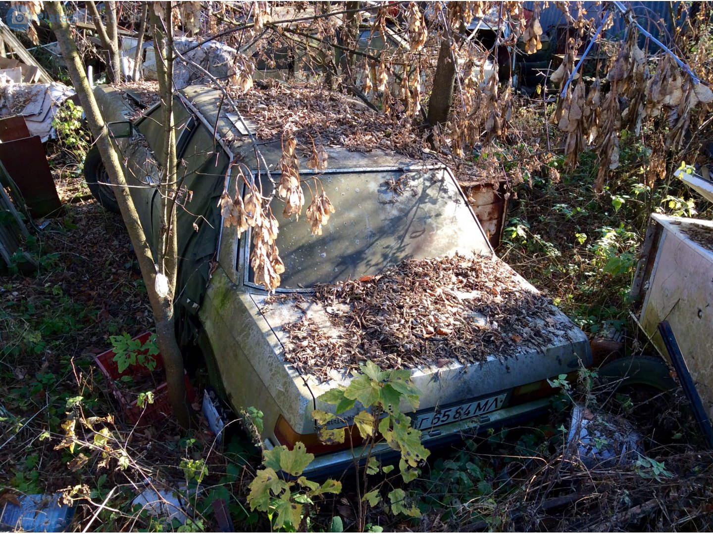 г 6584 МЛ, Ford Granada 2nd gen 4-door Sedan (GFU; EU-market), 1977–1985