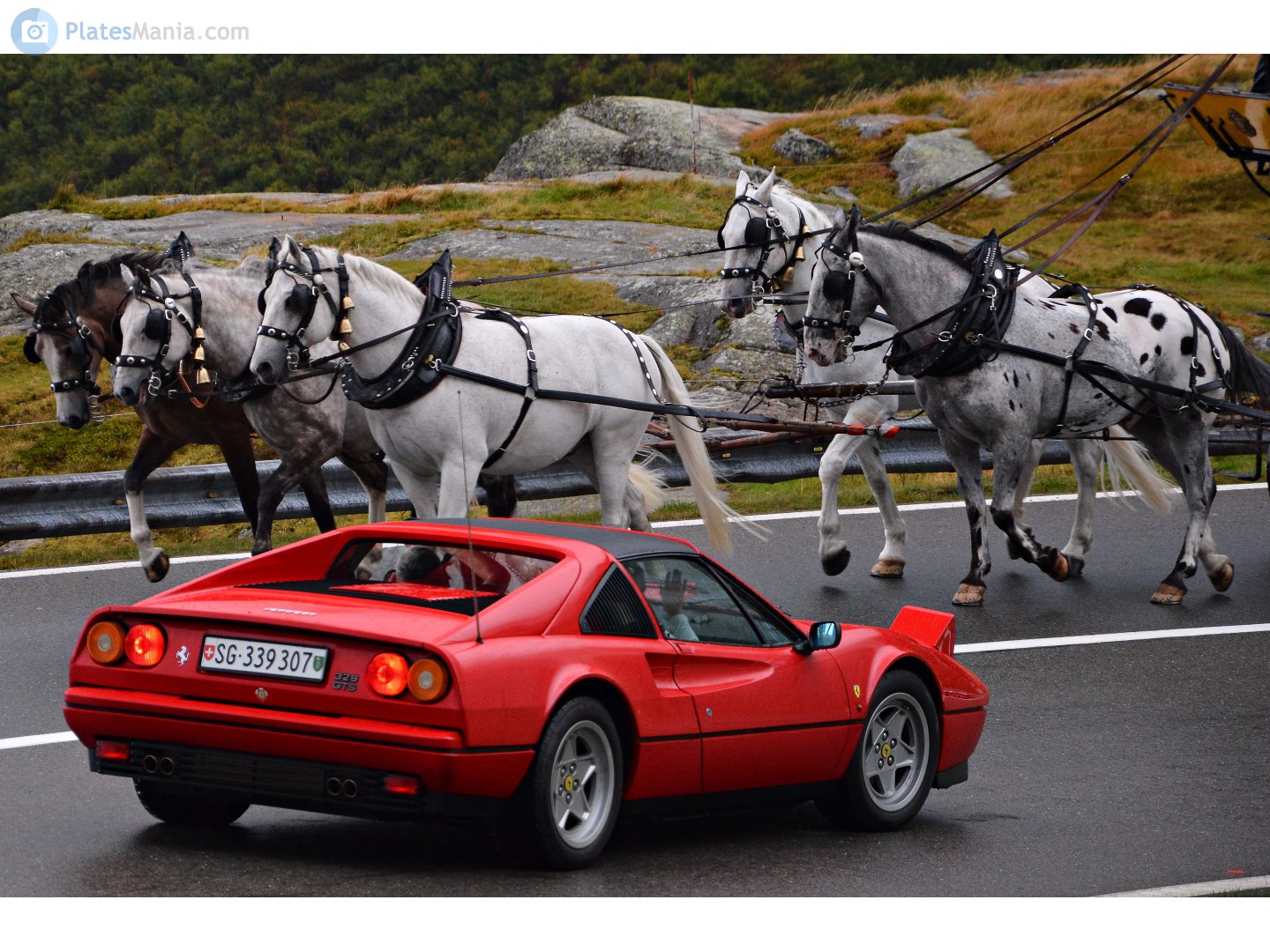 SG 339307, Ferrari 328 1st gen (GTS) Targa (F106), 1985–1989