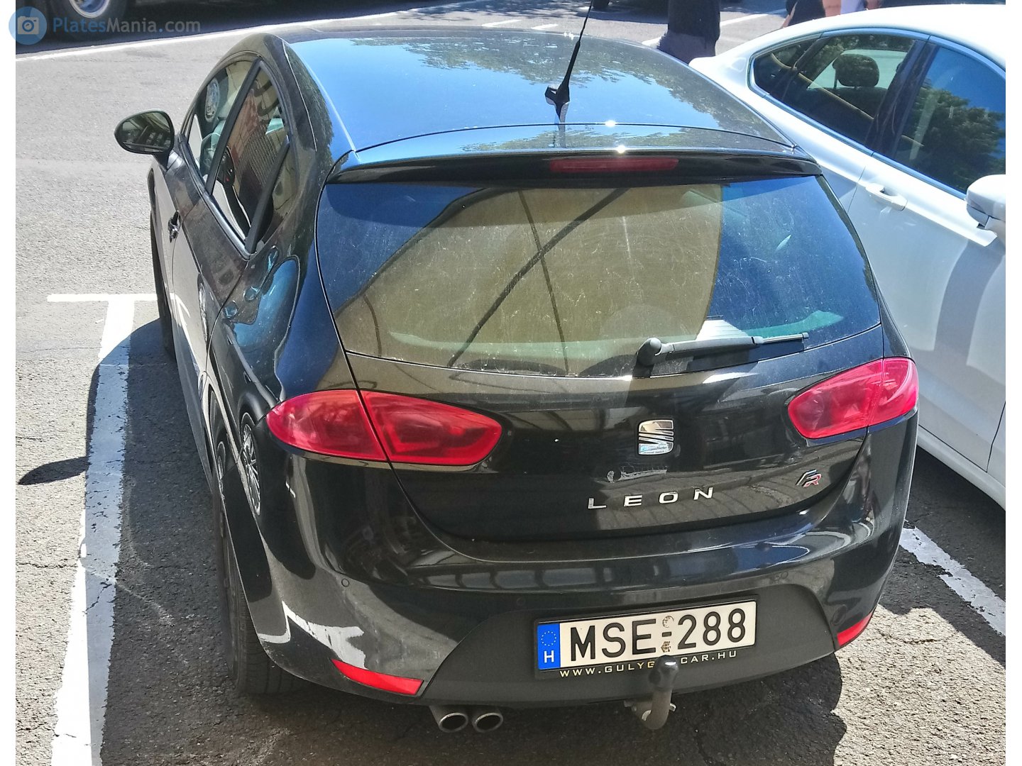 MSE-288, SEAT León 2nd gen (1P1), 2005–2012