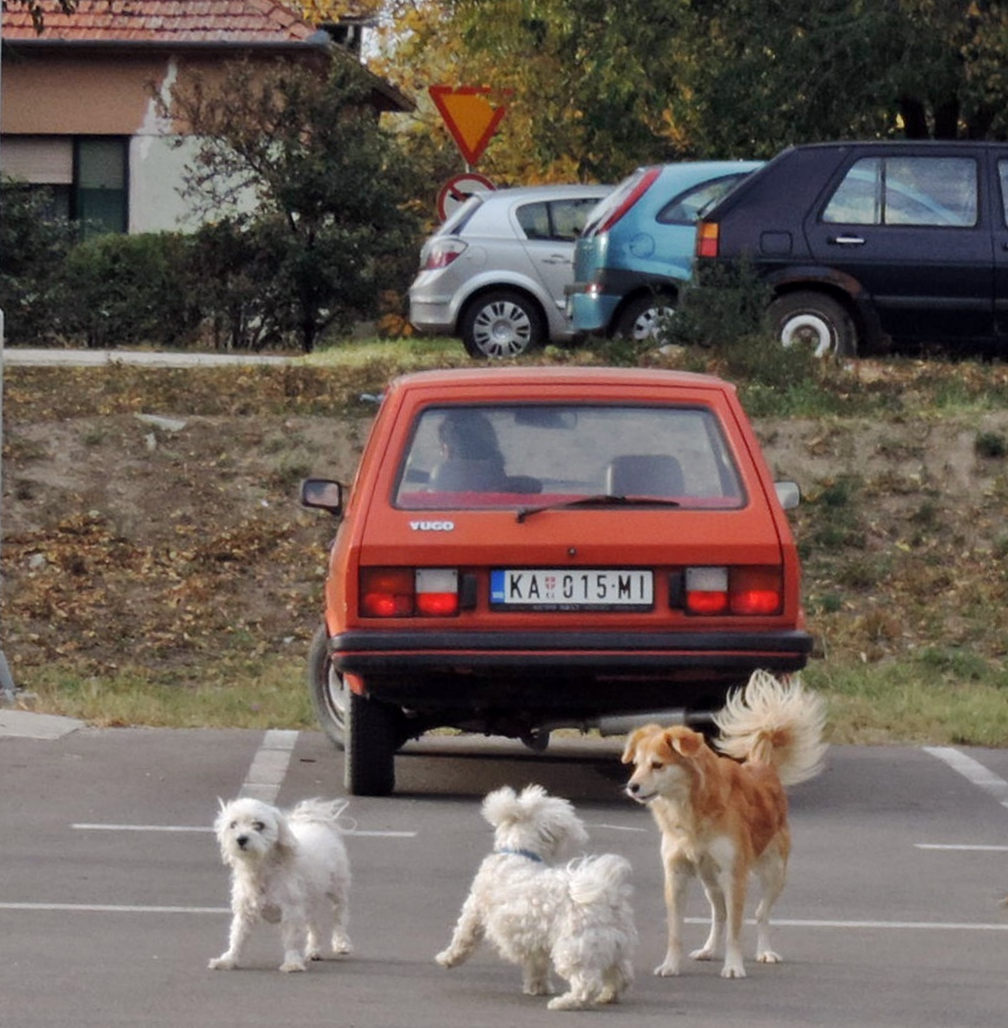 KA 015-MI, Zastava Yugo Koral 45(A)/55(A)/60/65, 1980–2001