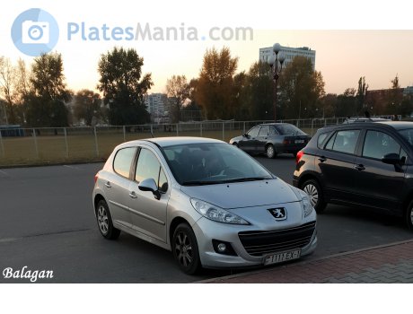 1111 EX-1, Peugeot 207