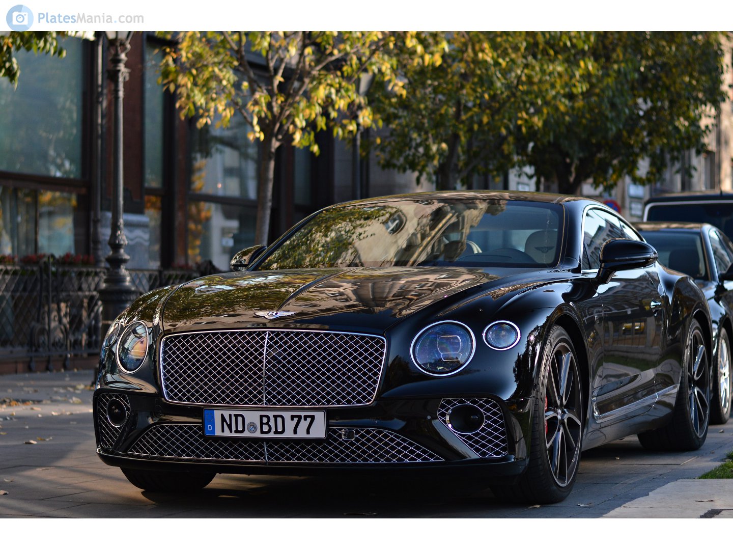 ND BD 77, Bentley Continental 6th gen GT, 2018–2024