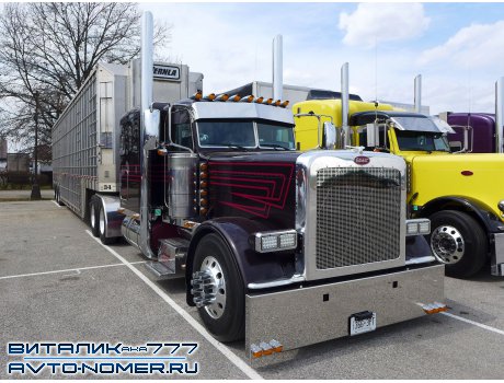 366-3PT, Peterbilt 389