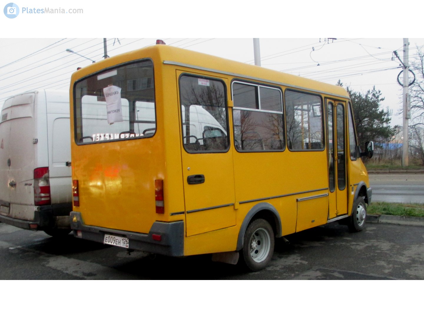 е 009 ен 126, BAZ 2215 Дельфин 