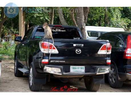 1ฒฆ 8190, Mazda BT-50
