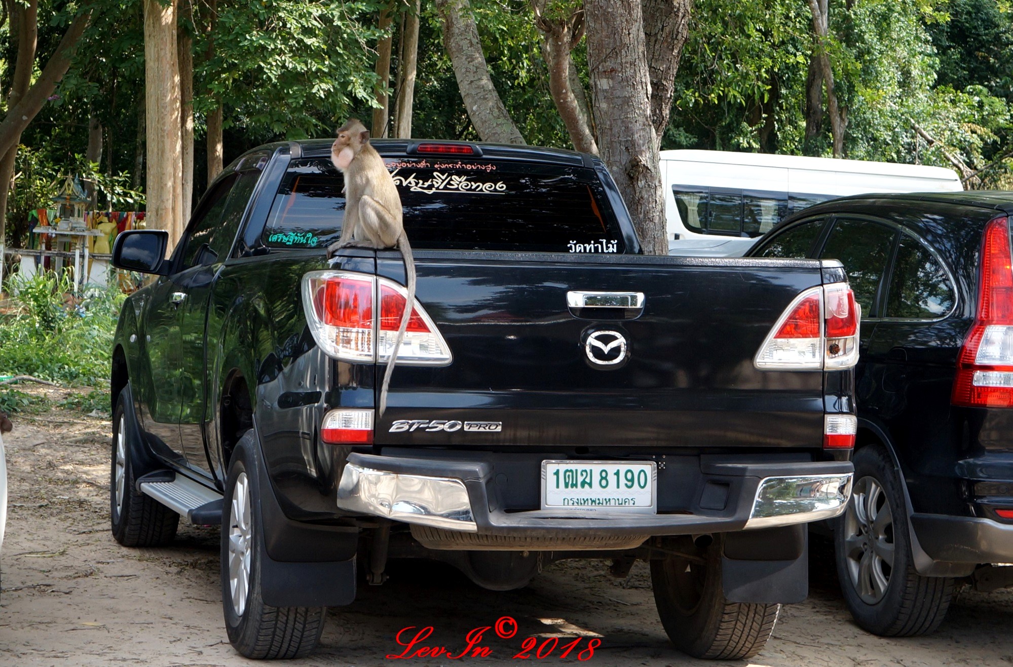 1ฒฆ 8190, Mazda BT-50 2nd gen (UP), 2011–2020