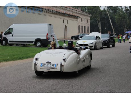 DP 818 JW, Jaguar XK120