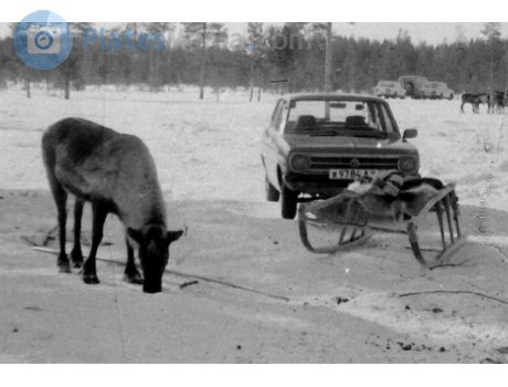 ж 9784 АХ, Datsun 1200