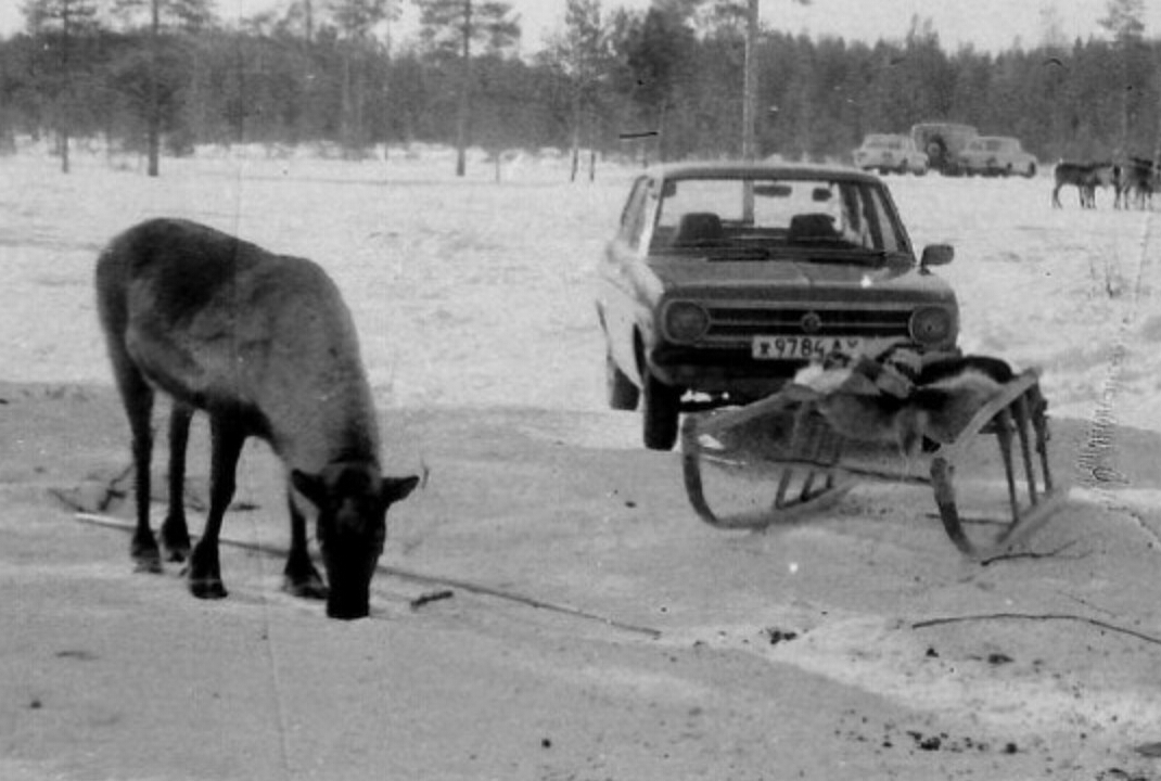 ж 9784 АХ, Datsun 1200 1st gen 4-door Sedan (B110), 1970–1973