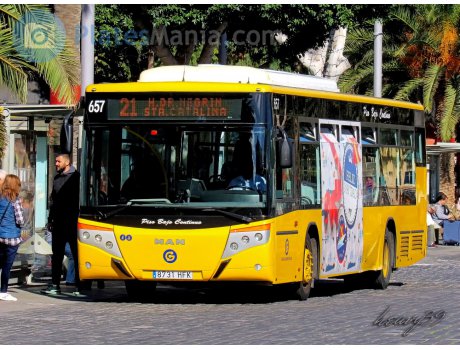 8731 HFK, Castrosúa City Versus