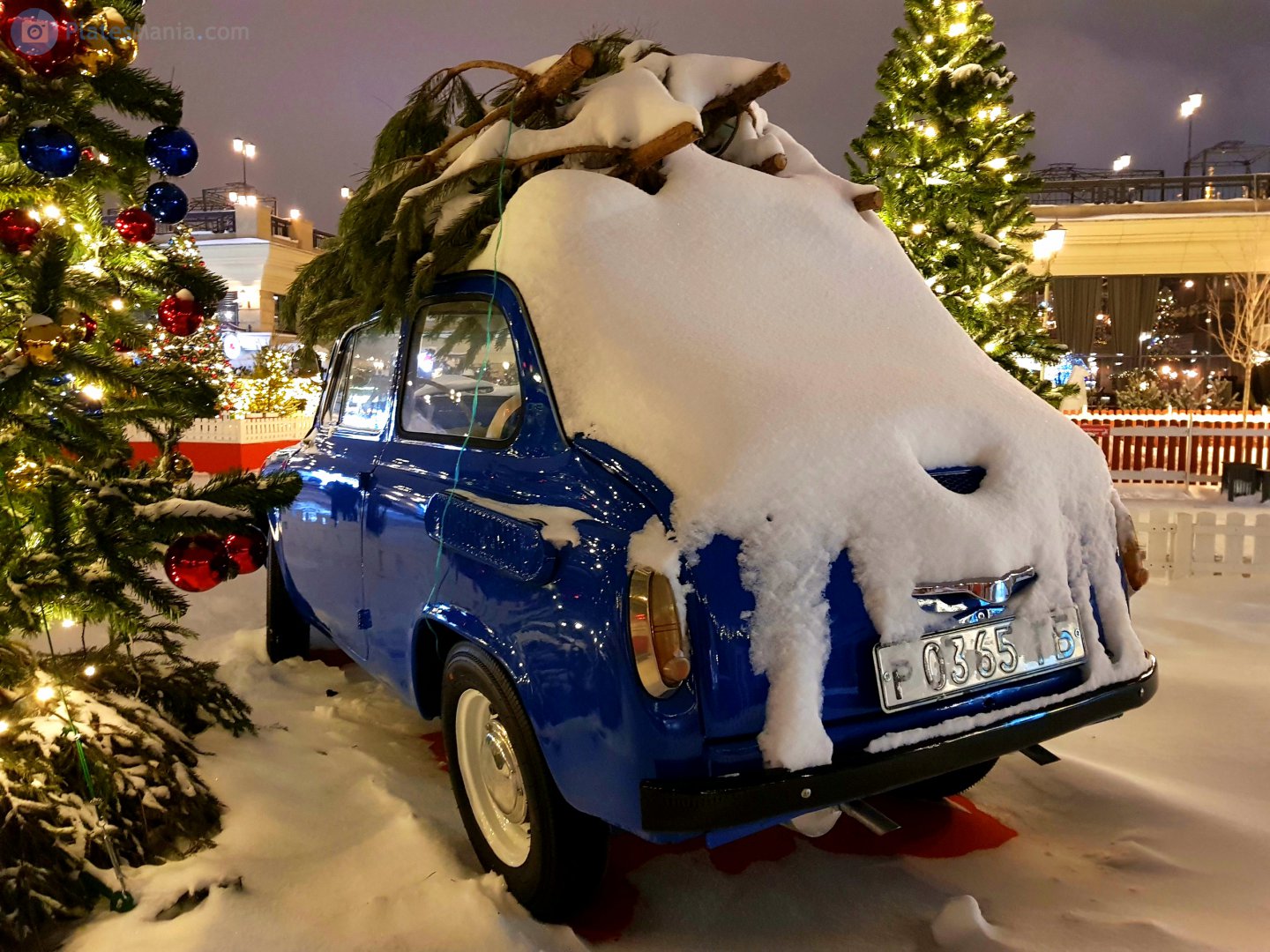 р 0365 ТБ, ZAZ 965 965/965А Запорожец (Zaporozhets), 1959–1969