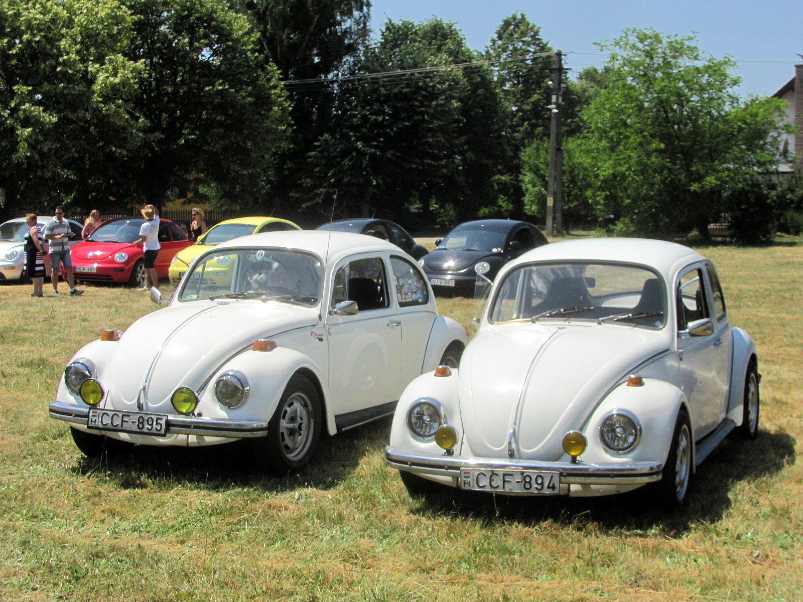 CCF-894, Volkswagen Beetle 1st gen Sedan (Type 1), 1938­–2003
