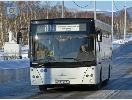м519ах67, MAZ 206