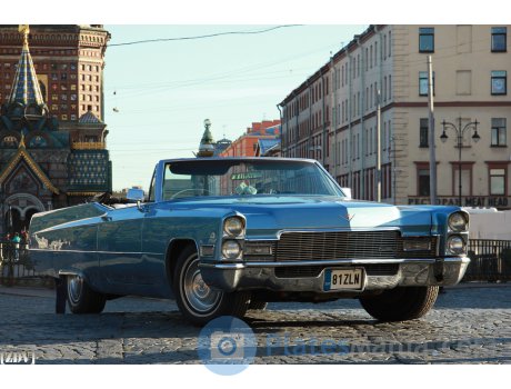 81 ZLN, Cadillac DeVille