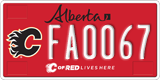 Alberta, Calgary Flames (FA1234)