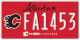 Alberta, Calgary Flames (FA1234)
