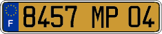 French license plate, FNI