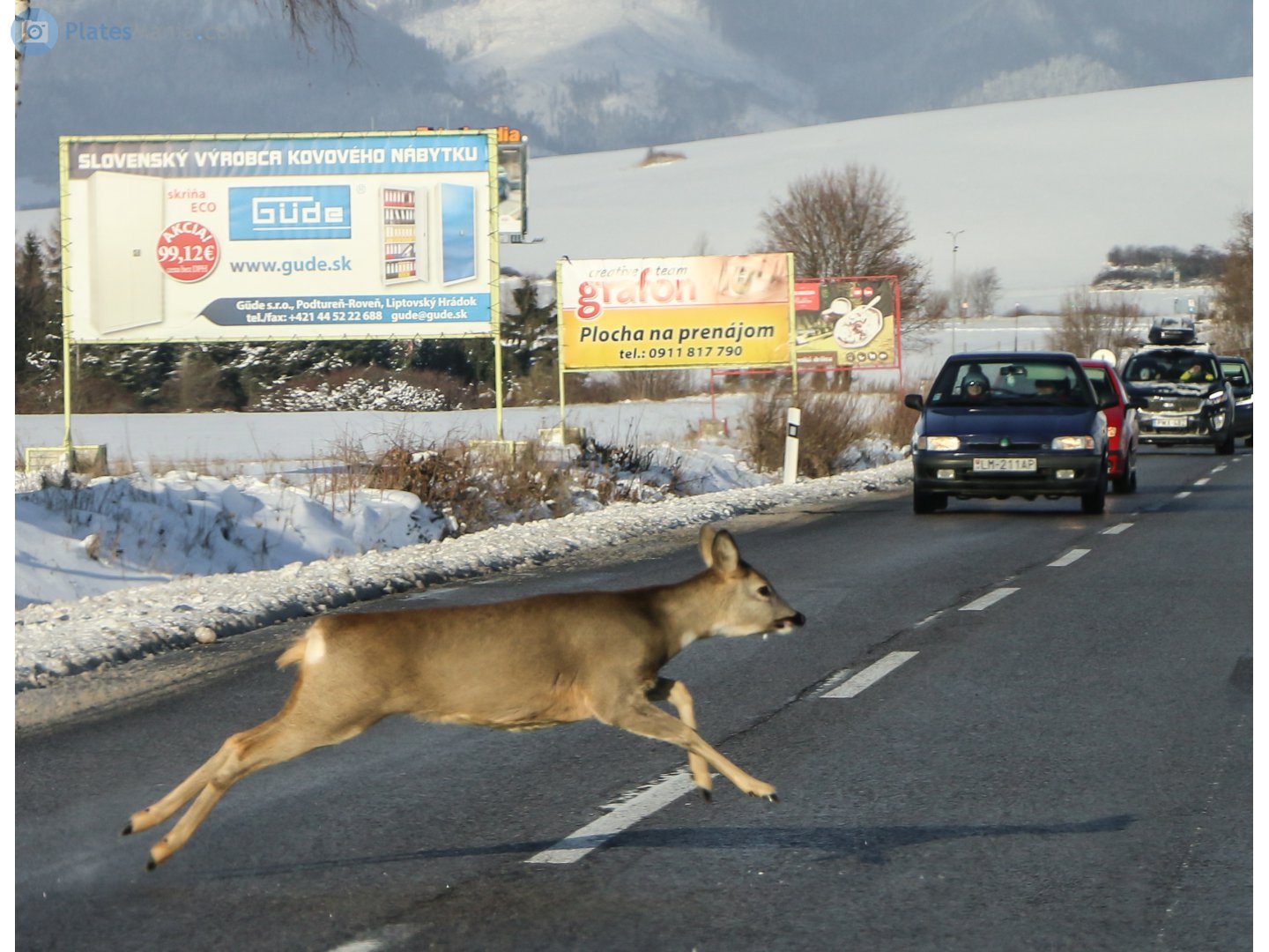 LM-211AP, Skoda Felicia 1st gen Hatch (6U1; Type 791), 1994–1998