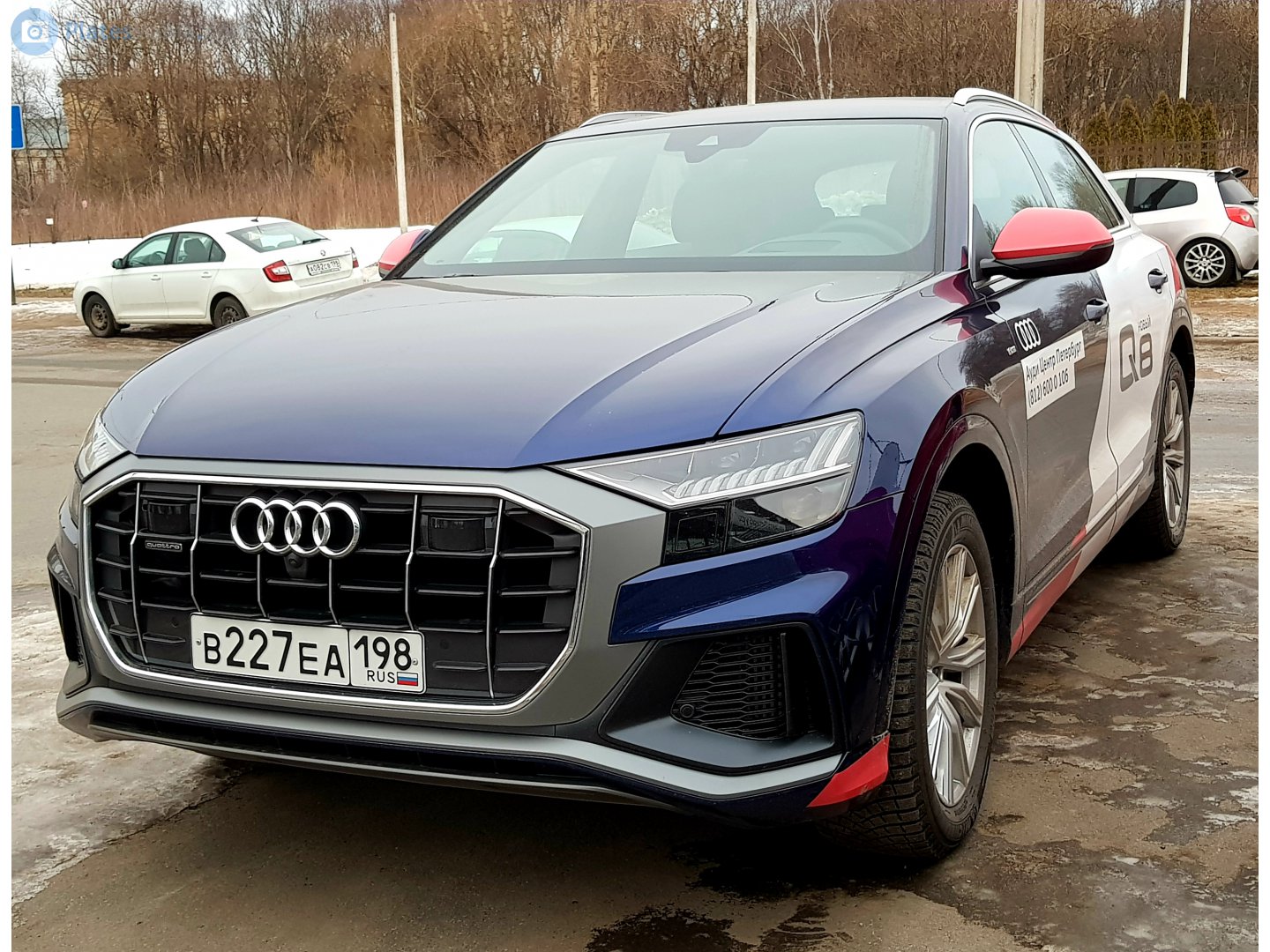 в 227 еа 198, Audi Q8 1st gen (4MN), 2018–2023