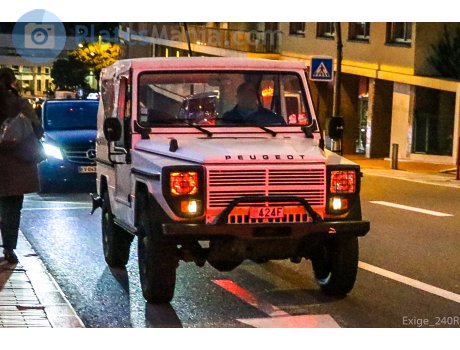 424F, Peugeot P4