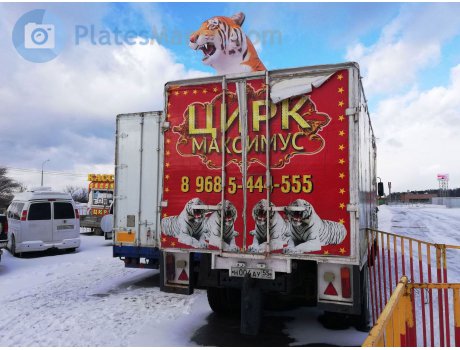 н004ау55, Mercedes-Benz NG-Series